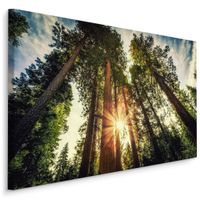 Obraz Do Salonu Sypialni Wschód Słońca Natura Pejzaż Las 90cm x 60cm