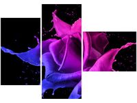 100CM 80 OBRAZ 3 ELEM RÓŻA FARB JAKUB BANAŚ ŚCIENNY