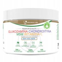 GLUKOZAMINA CHONDROITYNA MSM WITAMINA C VEGE 250g