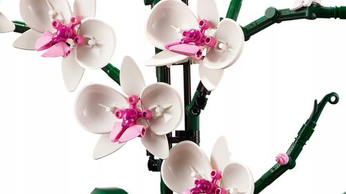 LEGO ICONS Orchidea 10311 na Arena.pl