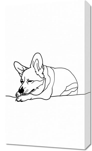 Obraz 40x70cm Śpiący Corgacz zdjęcie 1