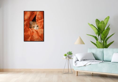 Plakat 56,6x86,4cm Ukryty Kot na Arena.pl