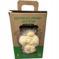 Soplówka Jeżowata MUSHROOMS GROW KIT grzybnia