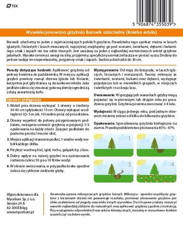 Grzybnia BOROWIK SZLACHETNY Mycelium na Arena.pl