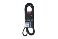 PASEK MICRO-V 6 PK 1825 VOLVO S80 I 2000 2001 2002 2003 2004 2005 2006 2007