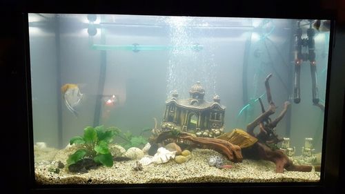 NATURALNY ŻWIREK 1-4 mm 25 kg AKWARIUM na Arena.pl