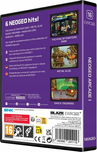 Gra Evercade NEOGEO Arcade 1 na Arena.pl