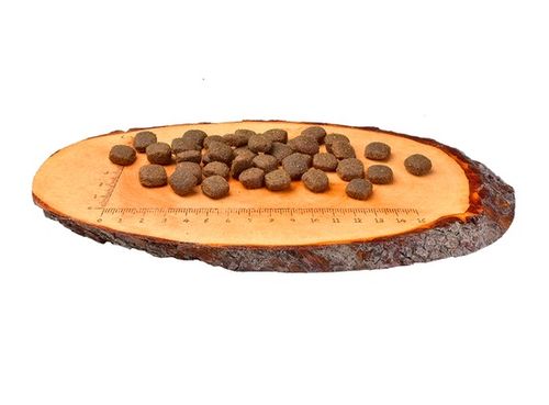 Zdrowa karma dla psa bez zbóż i ziemniaków - Carnilove Jagnię i Dzik 1,5kg na Arena.pl