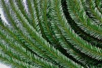 GIRLANDA ŚWIERKOWA 50 metrów(10sztx5m) stroik hurt