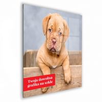 product-compare-60937804