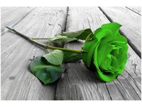 120CM 80CM OBRAZ ŚCIENNY LIMONKOWA RÓŻA DESKACH