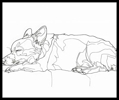 Plakat 60x50cm Śpiący Psiak na Arena.pl