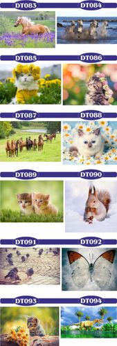 fototapety FOTOTAPETA 3d dekoracyjna koń unicorn na Arena.pl