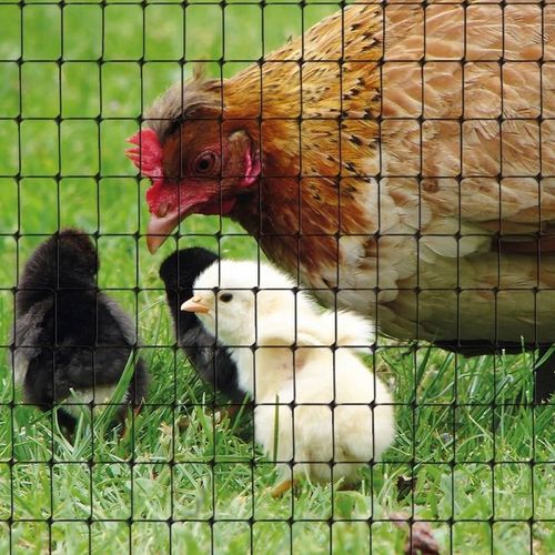 SIATKA NA KRETY 1x50m UV+ POLSKA MOCNA GĘSTA WYTRZYMAŁA PRZECIW KRETOM na Arena.pl