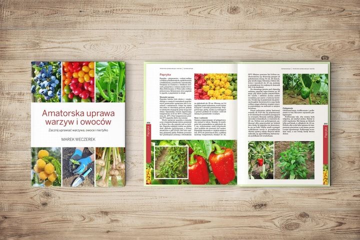 AMATORSKA UPRAWA WARZYW I OWOCÓW Marek Weczerek zdjęcie 4