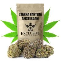 Susz konopny CBD Czarna Pantera SUPER AMSTERDAM 1g