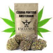 Susz konopny CBD Czarna Pantera SUPER AMSTERDAM 1000g