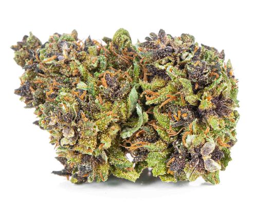 Susz konopny CBD Czarna Pantera SUPER AMSTERDAM 1g na Arena.pl