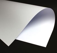 brystol a1 biały nr 01 (20) 2945