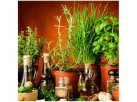 50X50CM PRZYPRAWY ZIOŁOWE OBRAZ