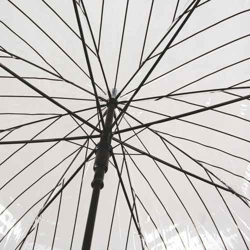 Parasol transparentny motywem kotów Captain Mike na Arena.pl