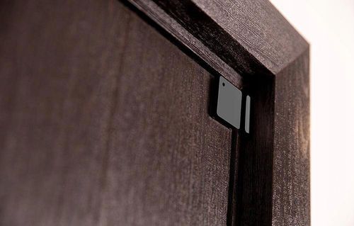 Shelly BLU Door/Window Black na Arena.pl