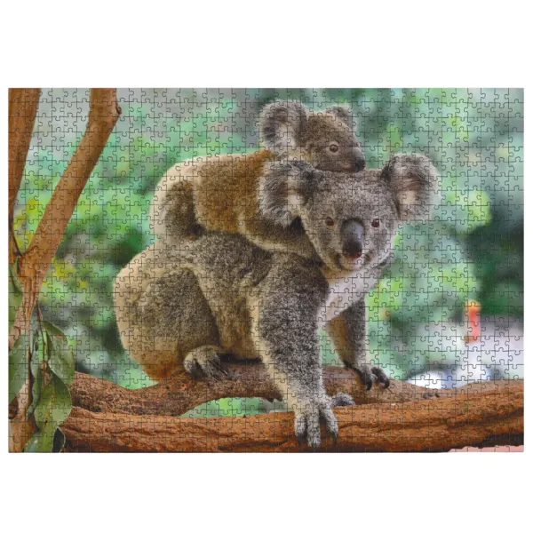 Puzzle 1000 elementów. Koala i jej mama zdjęcie 2