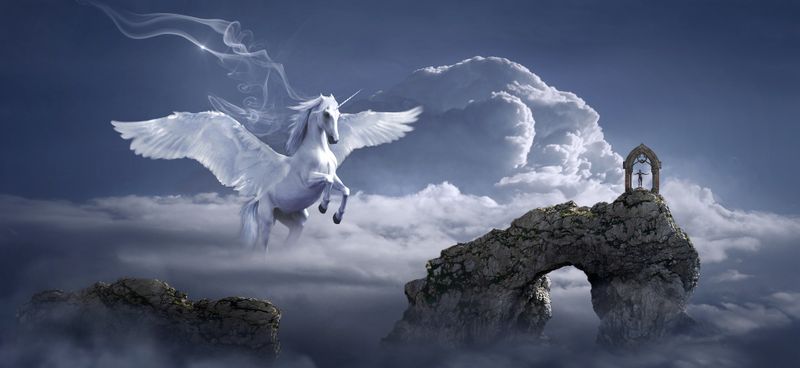 Foto obraz na płótnie "Skrzydlaty koń" 80x40 zdjęcie 2