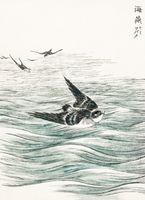 Plakat 40x55cm Riu Kiu House Swallow, Kashu Japoński Vintage