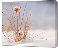 product-compare-59478843