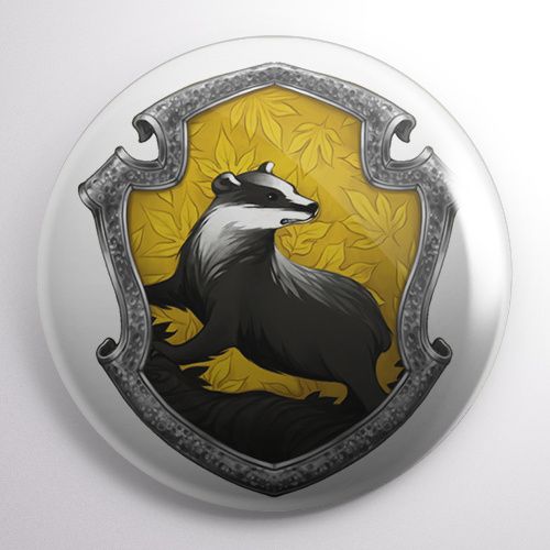 Przypinka Harry Potter na Arena.pl