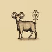 Plakat 30x30cm Natura i Heraldyka