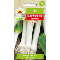 Por BLAUWGROENE WINTER 1g