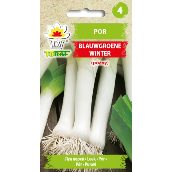 Por BLAUWGROENE WINTER 1g zdjęcie 1