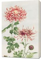 Obraz 60x90cm Kiku, Morikaga Japoński Vintage do Salonu