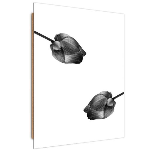 Deco Panel, Dwa kwiaty 40x50 na Arena.pl