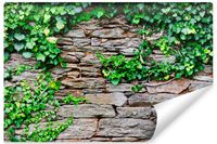 Fototapeta Mur KAMIEŃ Łupek Liście Bluszcz Abstrakcja 180cm x 120cm