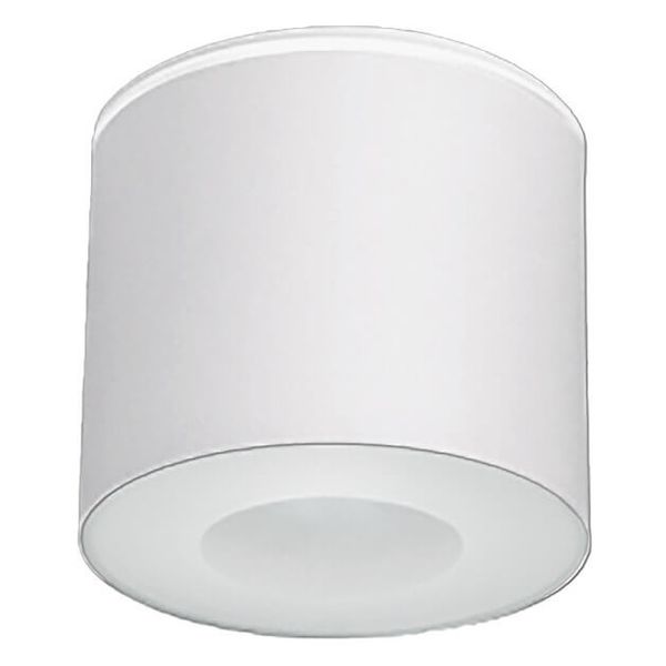 Natynkowa LAMPA sufitowa HEXA 9564 Nowodvorski metalowa OPRAWA łazienkowa tuba downlight IP44 biała zdjęcie 1