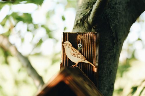 DREWNIANY karmnik dla PTAKÓW budka góralski POLSKI HIT DOMEK na Arena.pl