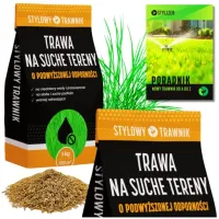TRAWA NASIONA Na tereny suche Odporna Samozageszczająca Trawnik 5kg
