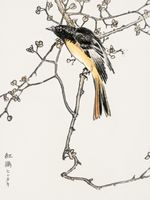 Plakat 30x40cm Siberian Blue-Tail, Kashu Japoński Vintage
