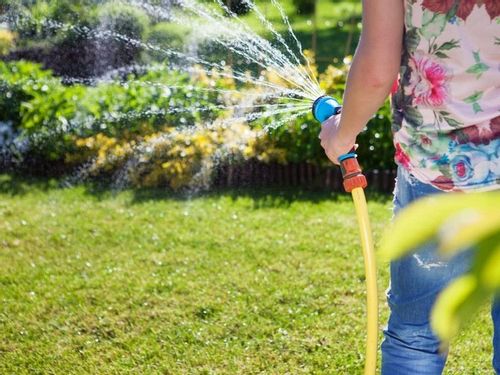 Nawóz do trawników Florovit szybki efekt 25 kg na Arena.pl