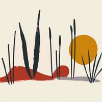 Plakat 50x50cm Trzcina przy Zachodzie