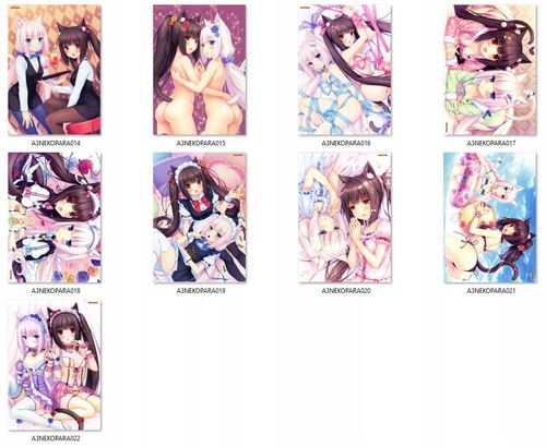 Plakat Nekopara DO WYBORU na Arena.pl