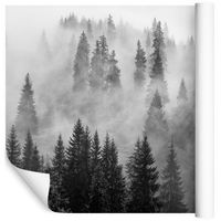 Fototapeta 3D Las we Mgle Drzewa PEJZAŻ do Salonu 270x180