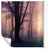 Fototapeta Magiczny Las Rośliny NATURA do Salonu 405x270