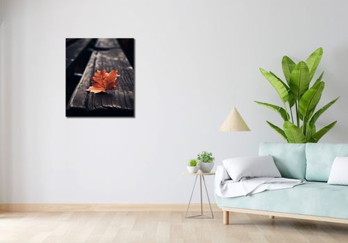 Obraz 60x70cm Pojedynczy Liść na Arena.pl