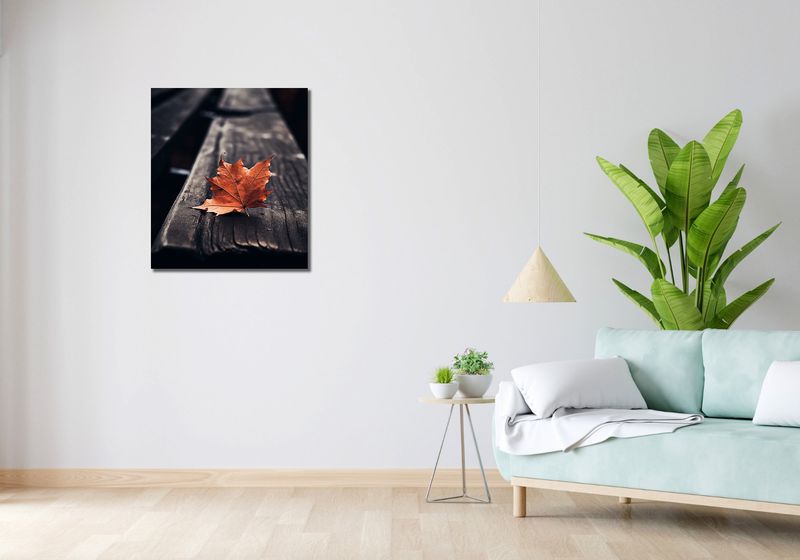 Obraz 60x70cm Pojedynczy Liść zdjęcie 2