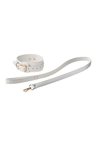 blaze elite collar and leash white na Arena.pl