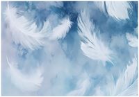 Fototapeta Na Flizelinie Do Sypialni Salonu Pióra 300x210